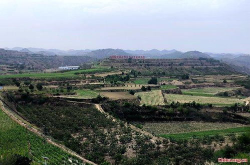 创新为中国米脂县谷物种植注入新活力 innovation breathes new life into ancient millet farming in china s mizhi county